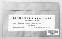 Image Associated With the Occurence